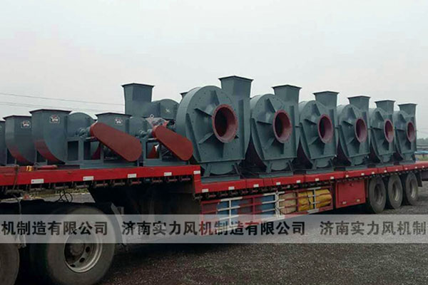 山东芭乐视频下载污